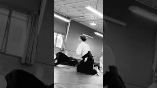 Aikido in Évreux #meiinkan aikido