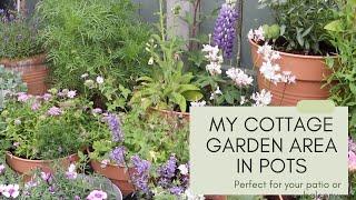 My cottage garden area in pots!  Perfect for patios, balconies and small gardens