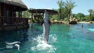 Experience the Fun at Discovery Point | SeaWorld San Antonio