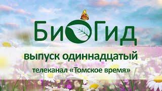 «БиоГид». Выпуск одиннадцатый. В. Н. Буркова о холестерине.