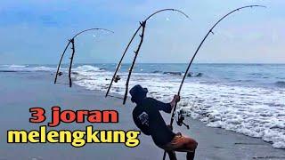 3 joran strike ikan besar | mancing di laut seperti di kolam