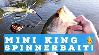  Fishing the Strike King Mini King Spinnerbait 