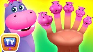 Finger Family Song - Hippo - Kids Songs and Learning Videos - ChuChu TV Classics #nurseryrhymes