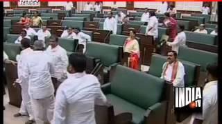 AP legislature rocked by protests over Telangana bill