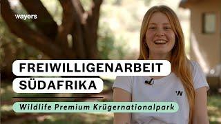 Teilnehmerinterview I Swantje in Südafrika I Freiwilligenarbeit Wildlife Premium Krüger Nationalpark