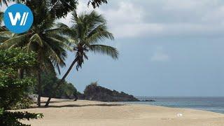 Tobago - Insel in der Karibik (Reisedokumentation in HD aus der Reihe "Caribbean Moments")