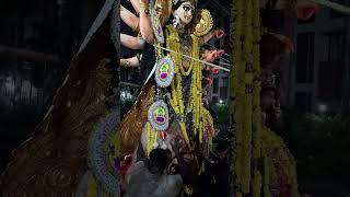 Durga Maa Visarjan 2024 Peerless Nagar