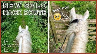 Solo Hacking - New Route! || GoPro