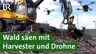 Im Wald Bäume säen: Harvester und Drohne im Einsatz | Agrartechnik | Forstmaschine | Unser Land | BR