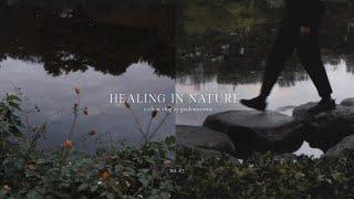 Cosy Autumn Days in the City | Healing with Nature