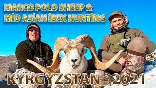 Marco Polo and Mid Asian Ibex hunt - Caça no Quirguistão 2021