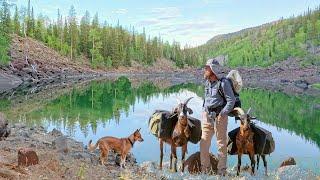 Camping In a "Bob Ross" Painting with Pack Goats & Dogs Fishing & Firebox Freestyle Stove Cooking!