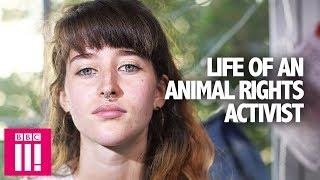 Life Of An Animal Rights Campaigner: How Far Would You Go? | Generation Activism