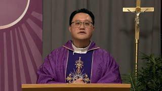 Sunday Catholic Mass Today | Daily TV Mass, Sunday December 8, 2024