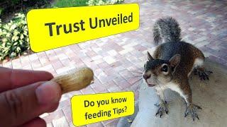 Caring Tips for Hand-Feeding Squirrels Safely and Responsibly! ️#youtube #viral #trending