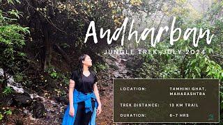 Andharban Jungle trek - The Dark Forest of Maharashtra | All Information | Globetrottervirus