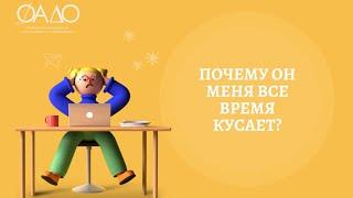 Почему он меня все время кусает?