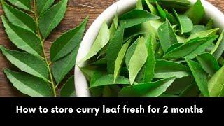 Curry leaves saving tips | How to keep curry leaves for long | How to store curry leaves