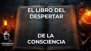 ¿Cómo Aplicar la Consciencia en tu Vida para que Nada te Perturbe?