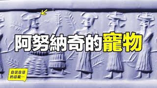 阿努納奇在創造人類之前，還創造過一種生物……|自說自話的總裁