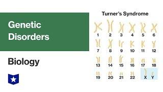 Genetic Disorders | Biology