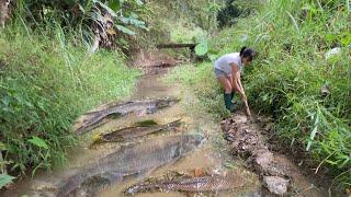 The fishing girl built a stream and brought back many big fish to sell.