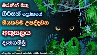 මියගිය අයට දෙන පින් ලැබෙන නොලැබෙන ස්ථානය සහ අස්ථානය | Where merit is received and where it is not