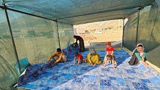 Completing the construction of the nomadic shelter and carpeting it