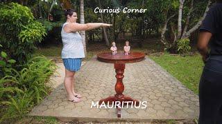 Curious Corner - Mauritius