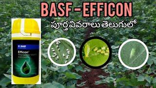 BASF - #EFFICON పూర్తి వివరాలు తెలుగులో full details of BASF efficon dosage & crops