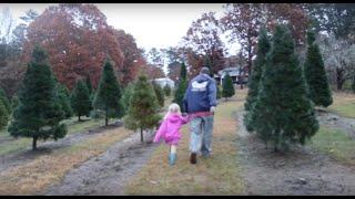 Visiting a Christmas Tree Farm