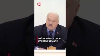Лукашенко: Не смешно! #shorts #лукашенко #новости #политика #беларусь #коррупция