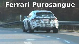 Erlkönig FERRARI Purosangue 2022 Verfolgung * Ferrari prototype car chase