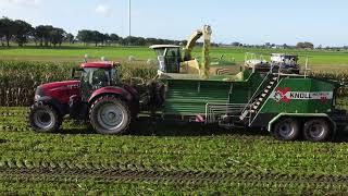 Knoll MultiBaler XL in mobiele werkgang maïsbalen maken