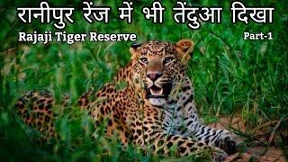 रानीपुर रेंज में भी तेंदुआ दिखा | राजाजी टाइगर रिजर्व | part-1  #leopard #rajajinationalpark #rajaji