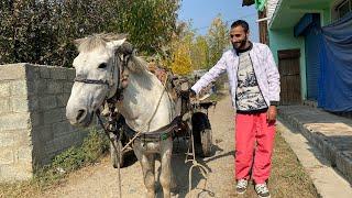 Dulhan Ki Wapesi kr vlogs