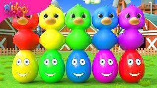 5 Little Ducks(Learn Colors Song) | BluLoo Nursery Rhymes & Kids Songs
