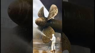 Propellers of big ships get damaged frequently!!