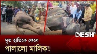 চাঁদাবাজির সময় হাতির মৃ-ত্যু | Elephant | News | Desh TV