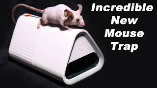 The GOODNATURE Smart Mouse Trap Is Incredible Technology. Mousetrap Monday