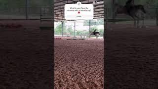 #fergalicious #equestrianriding my answer is in the comments ️