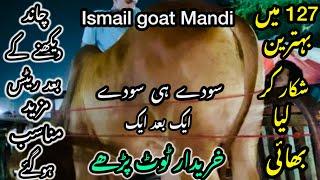 Ismail goat Mandi Karachi Cattle Rates Update ️ || 30 may 2025  || Cow Mandi 2025