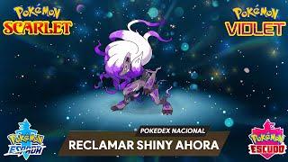 REPARTO ZOROARK HISUI SHINY y EVENTO + LEGENDARIOS y MITICOS SHINY en POKEMON ESCARLATA y PURPURA