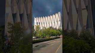 #정선카지노 #카지노