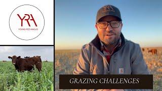 Facing Challenges In Rotational Grazing