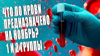 Ваш ГОРОСКОП ПО ГРУППЕ КРОВИ на ноябрь 2024 - Что ЖДЁТ ВАС?