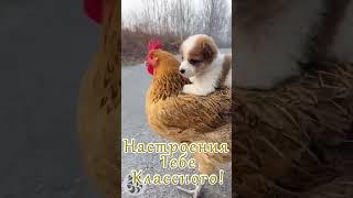 Доброе утро! Хорошего дня!