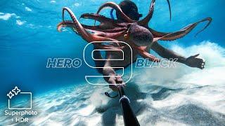 GoPro: HERO9 Black | 20MP Photos