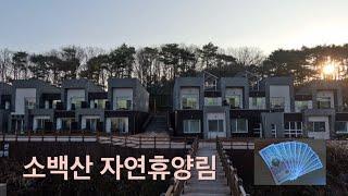 충북 단양 소백산 자연휴양림. 할인과 폐이백까지 ~ 숲집 배치와내부, 휴양관, 정감록 둘러 보기