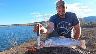 Fishing For Big Trout And CRAWDAD! Catch And Cook | AMAZING Fish Tacos 